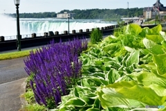 Niagara Falls