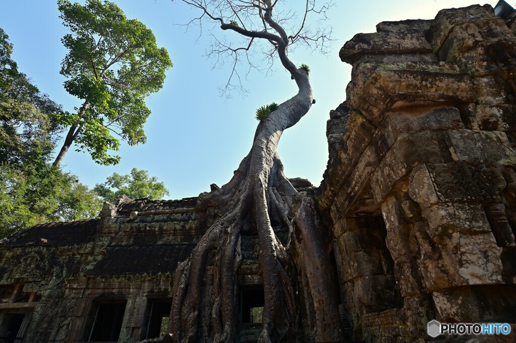 Cambodia