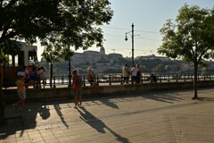 DSC_5035_00001