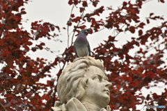 Wien