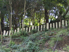 箕面公園