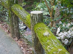 箕面公園