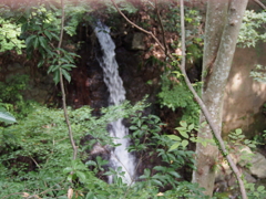 箕面公園