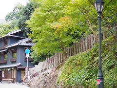 箕面公園