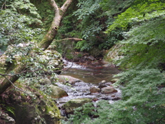 箕面公園