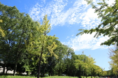 大阪城公園