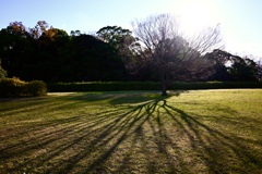 公園