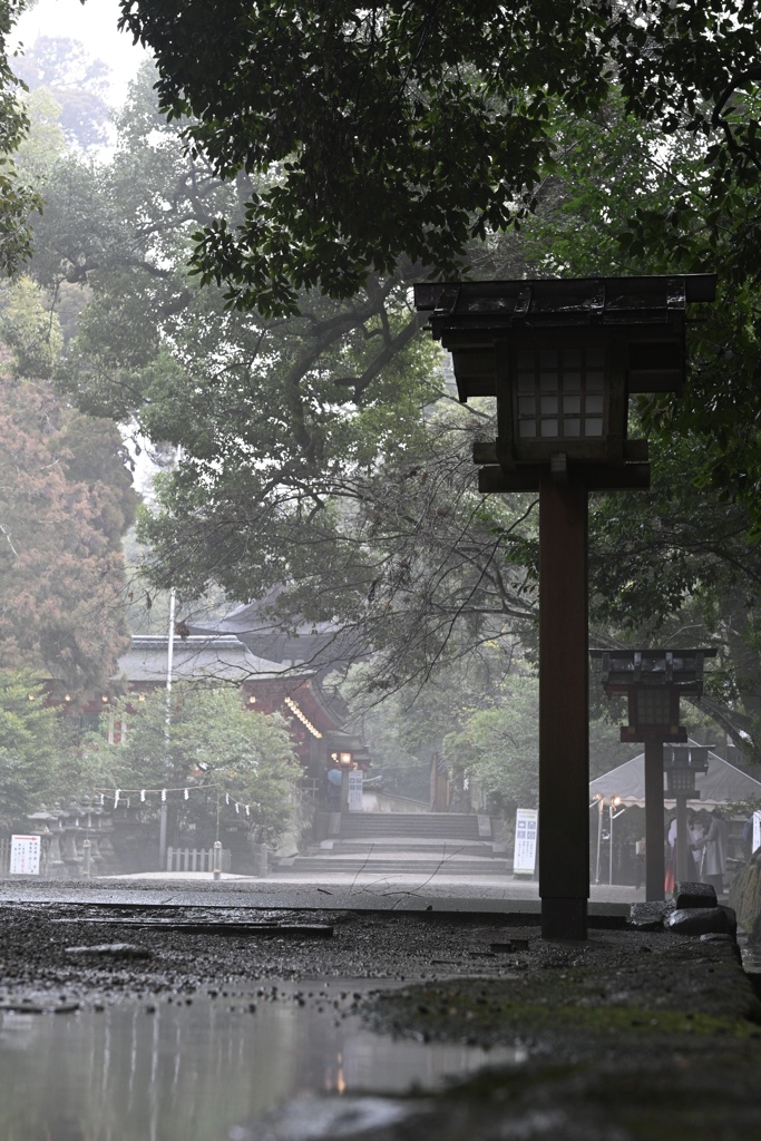 神社、雨