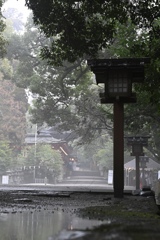 神社、雨