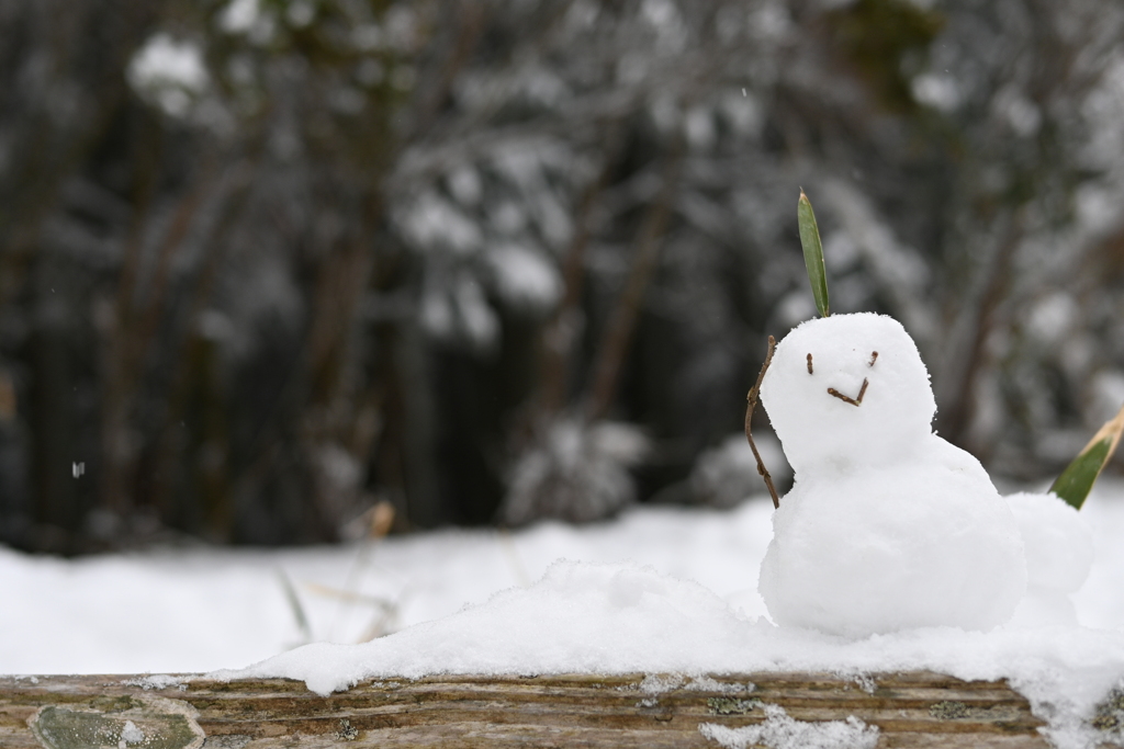 雪だるま