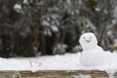 雪だるま