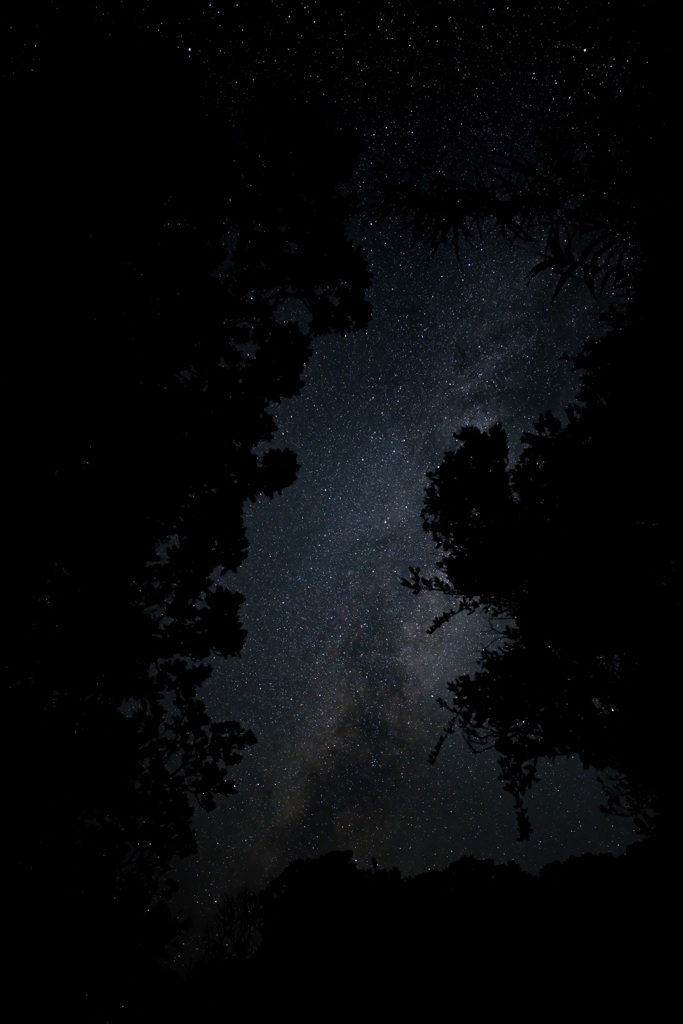 星