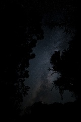 星