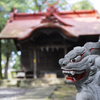 狛犬 八幡神社