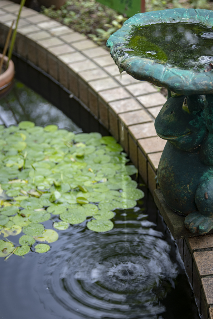 花壇の水やり 日本の風景