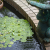 花壇の水やり 日本の風景