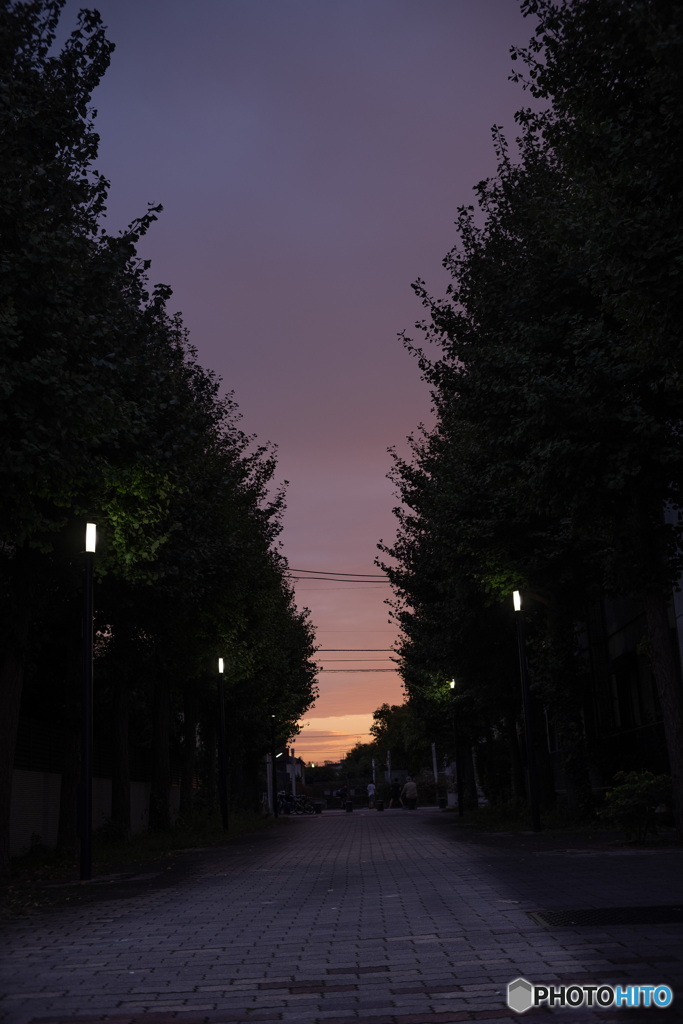 散歩道