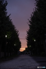 散歩道