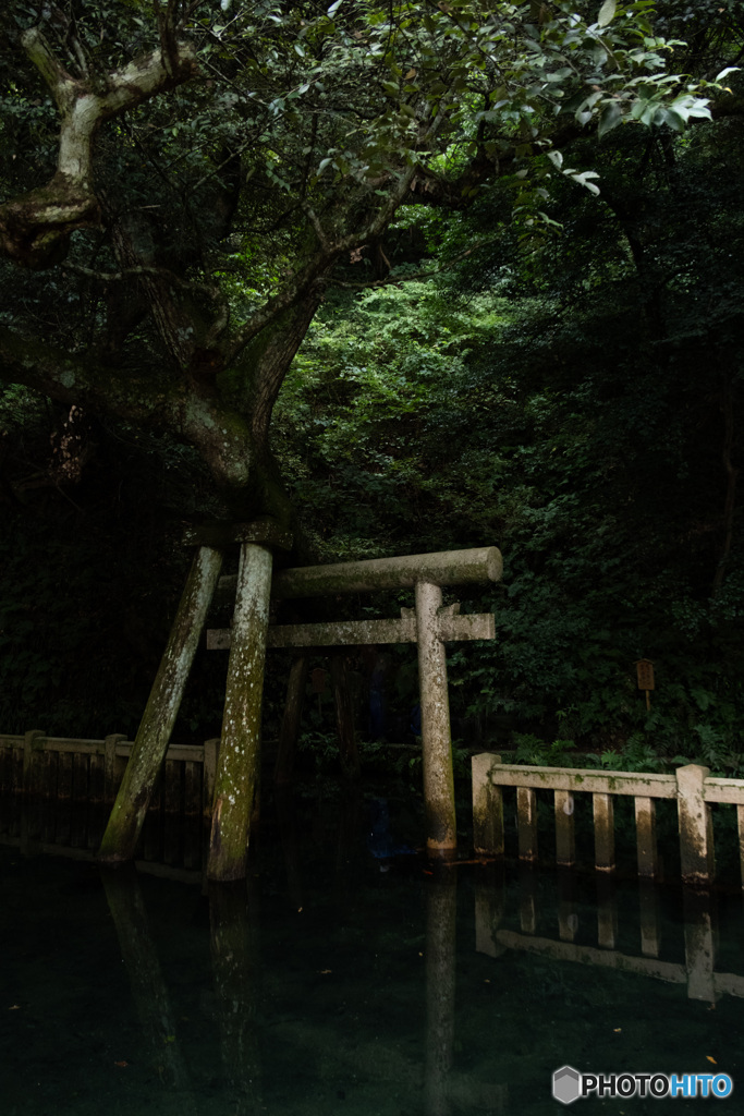 池の中の鳥居