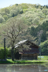 田園