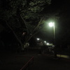 公園の街灯