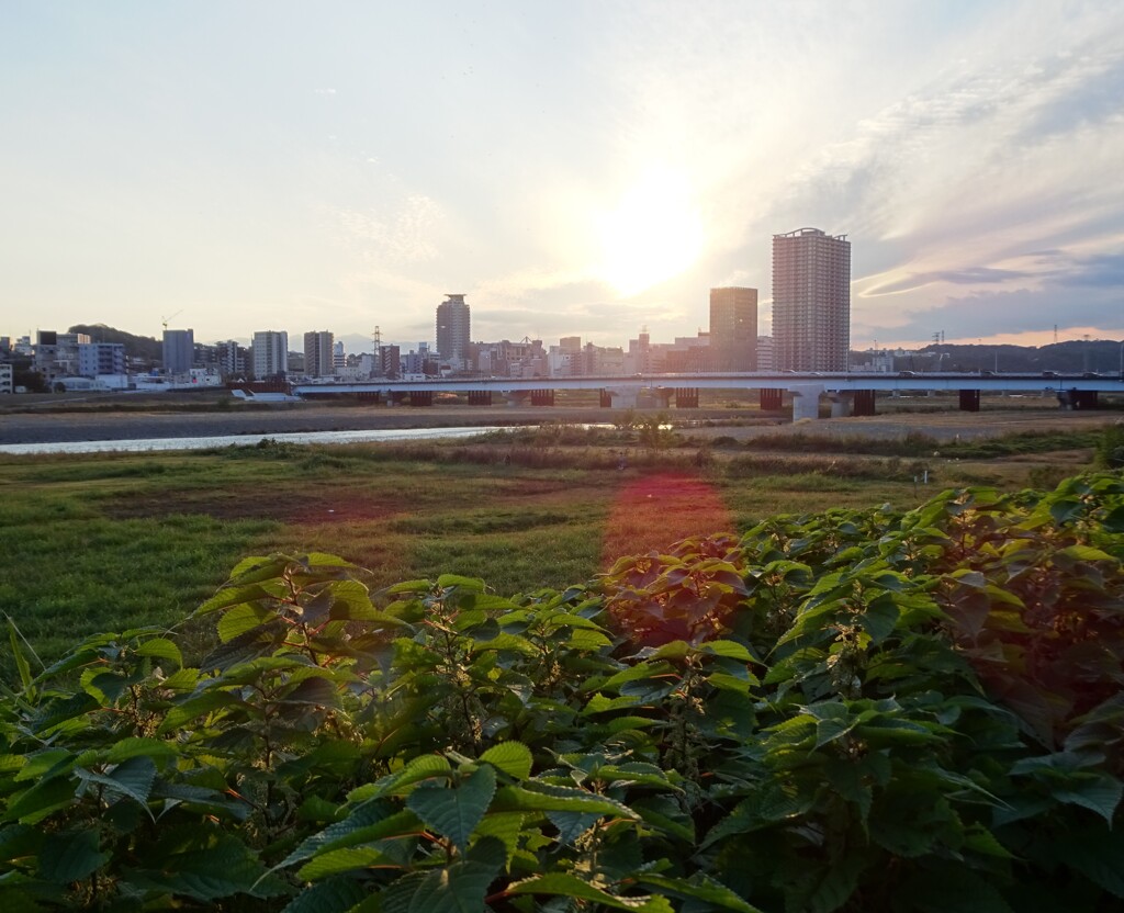 街の隣に自然がいっぱい