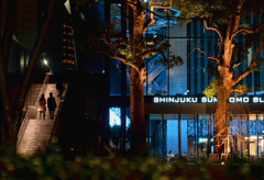 オフィスビルのクスノキとふたり