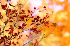 意のままにならず