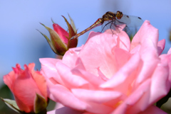 ピントは合ってないけど目が合った！