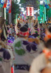 はためく幟も一緒に"やっとさーやっとさー"