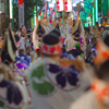 はためく幟も一緒に"やっとさーやっとさー"