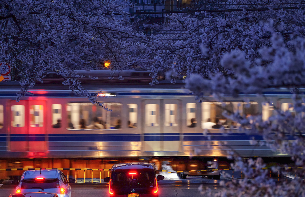 ヘッドライトに照らされてガタンゴトン