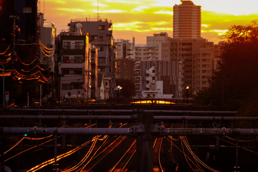 ノスタルジックな夕景