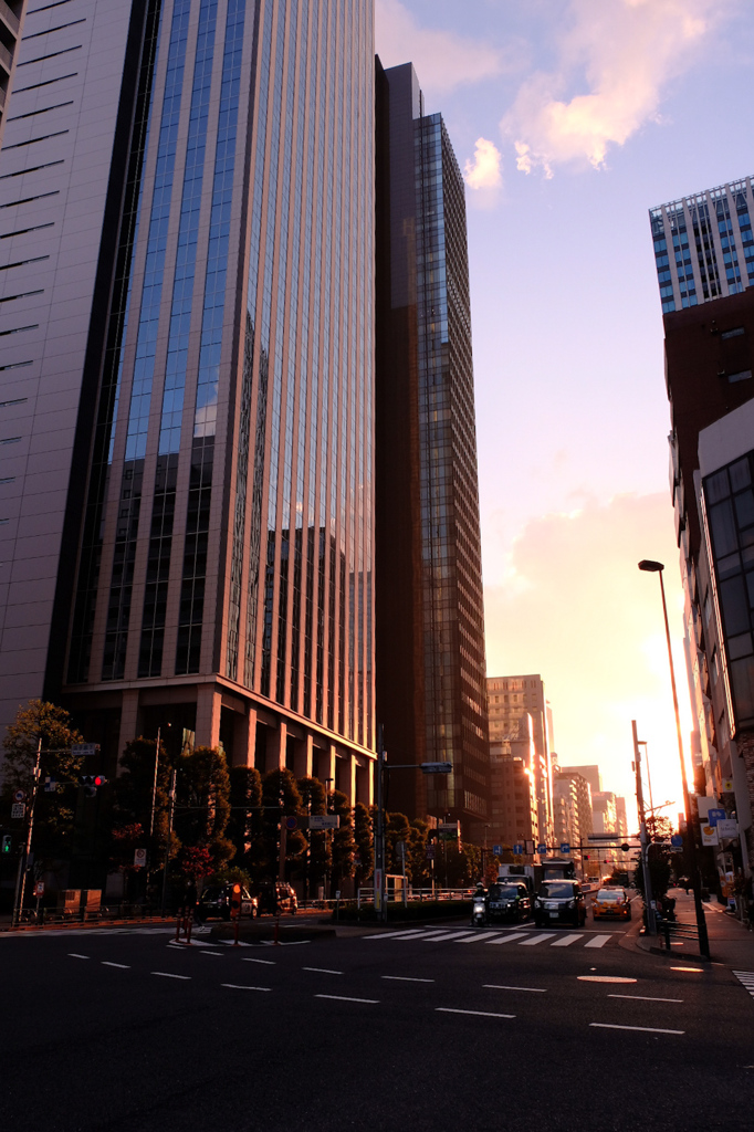 趣き深し秋の朝