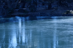池の薄氷、映り込みでわかる溶けはじめ
