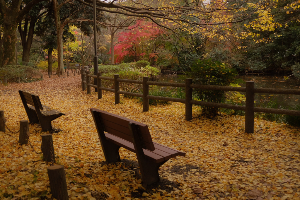 先客の名残り？