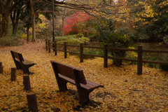 先客の名残り？