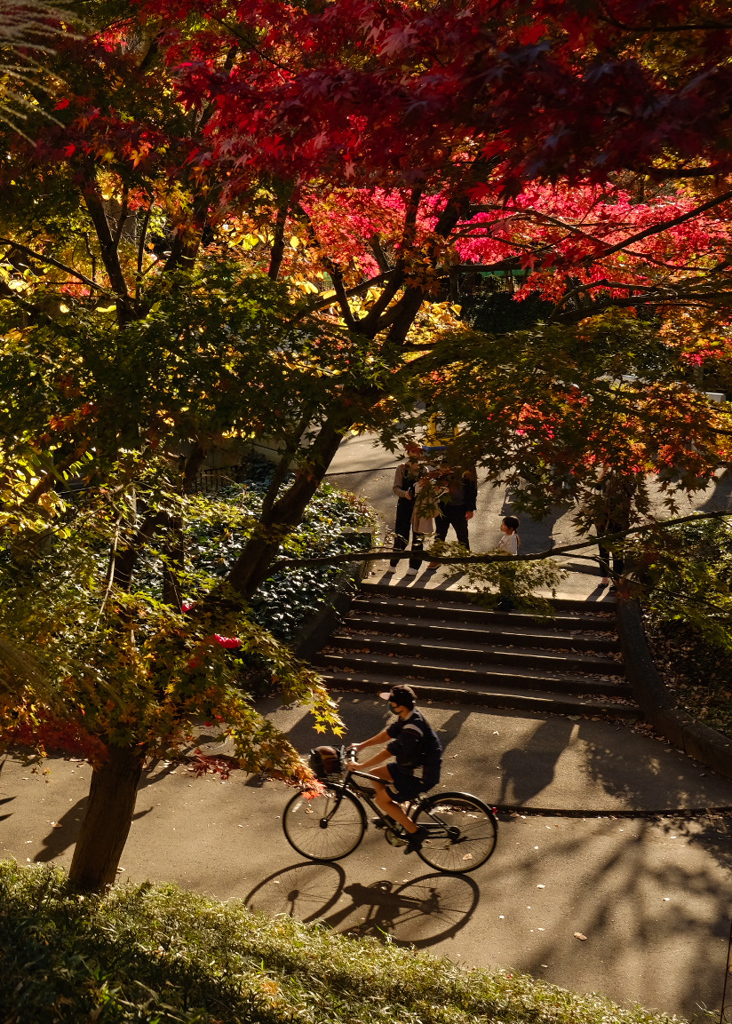 ぽかぽか陽気ではあるけれど…
