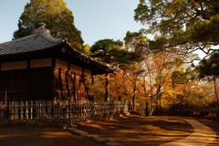 寂寥―お堂にうつる木立の影