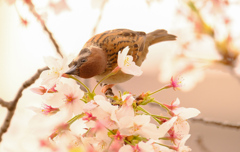 最初から根元狙いです