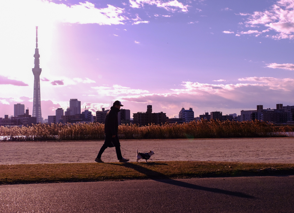 のびる影と、るんるん前脚