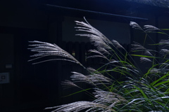 舞台裏でひそやかに