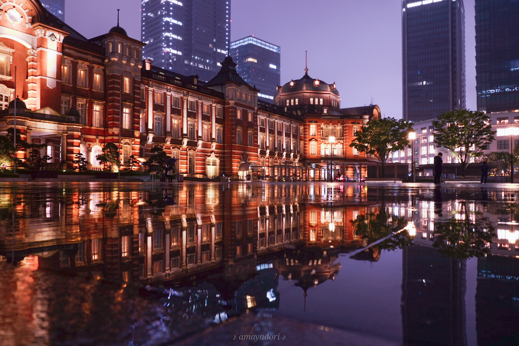 雨上がりのご褒美