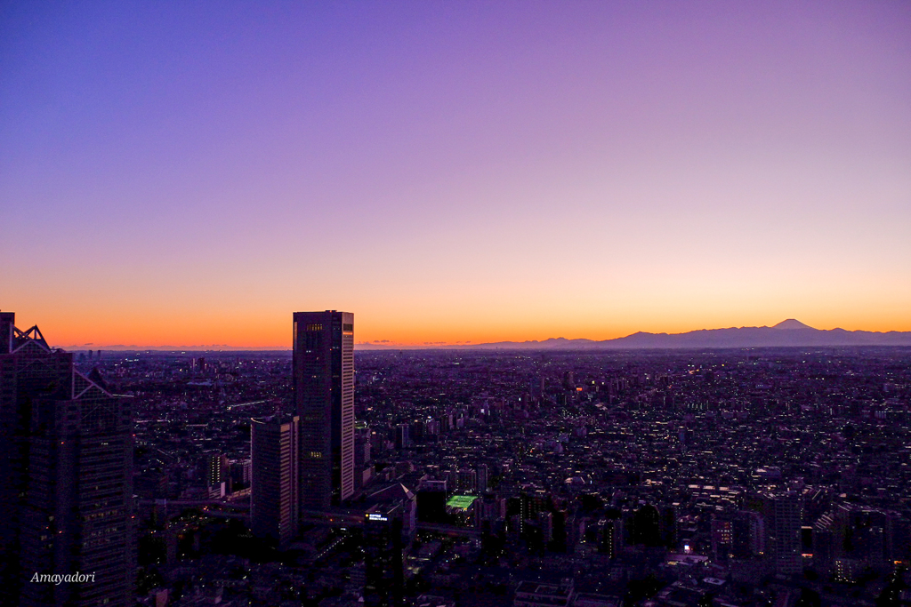 都庁からのぞむ富士の山