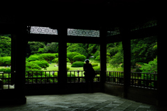 贅沢に縁どられた庭園の緑