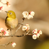 春めく陽気に可愛さ全開ポーズ