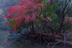 静かな渇望…水をもとめて