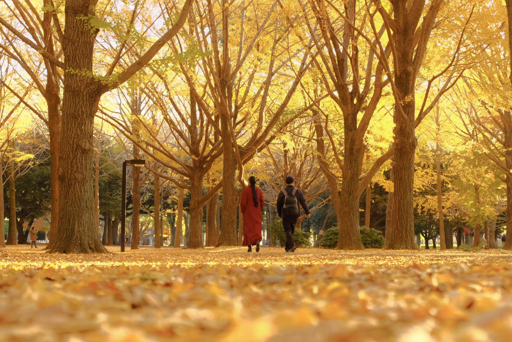 贅沢な朝の風景