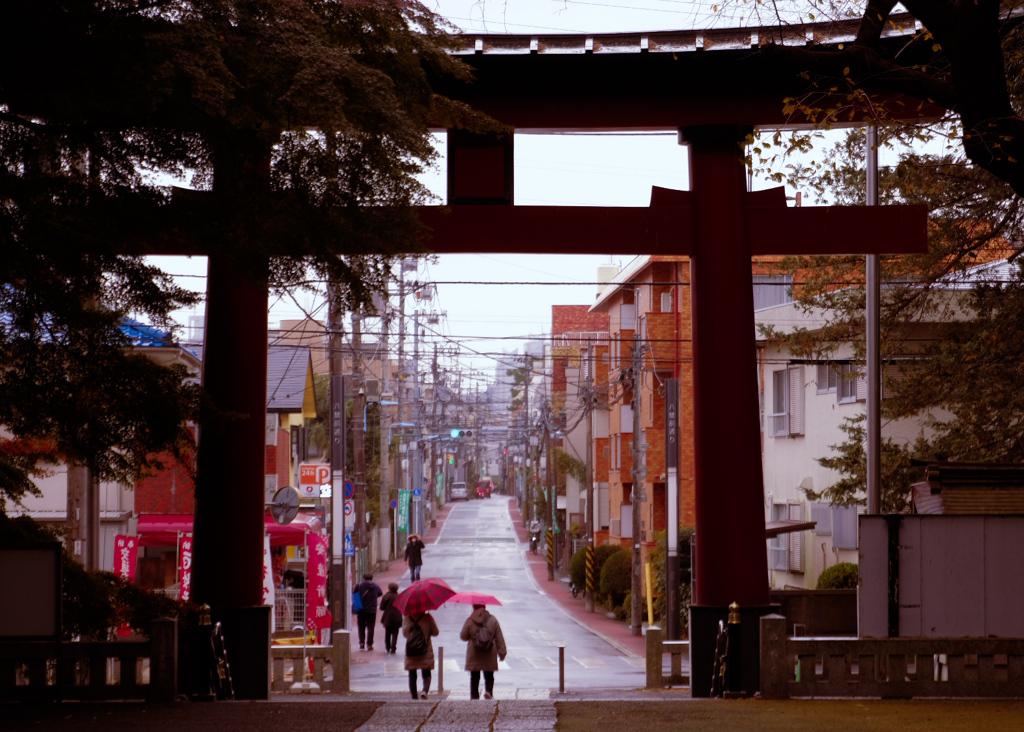 寒時雨ふる参道