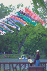 心地よい風
